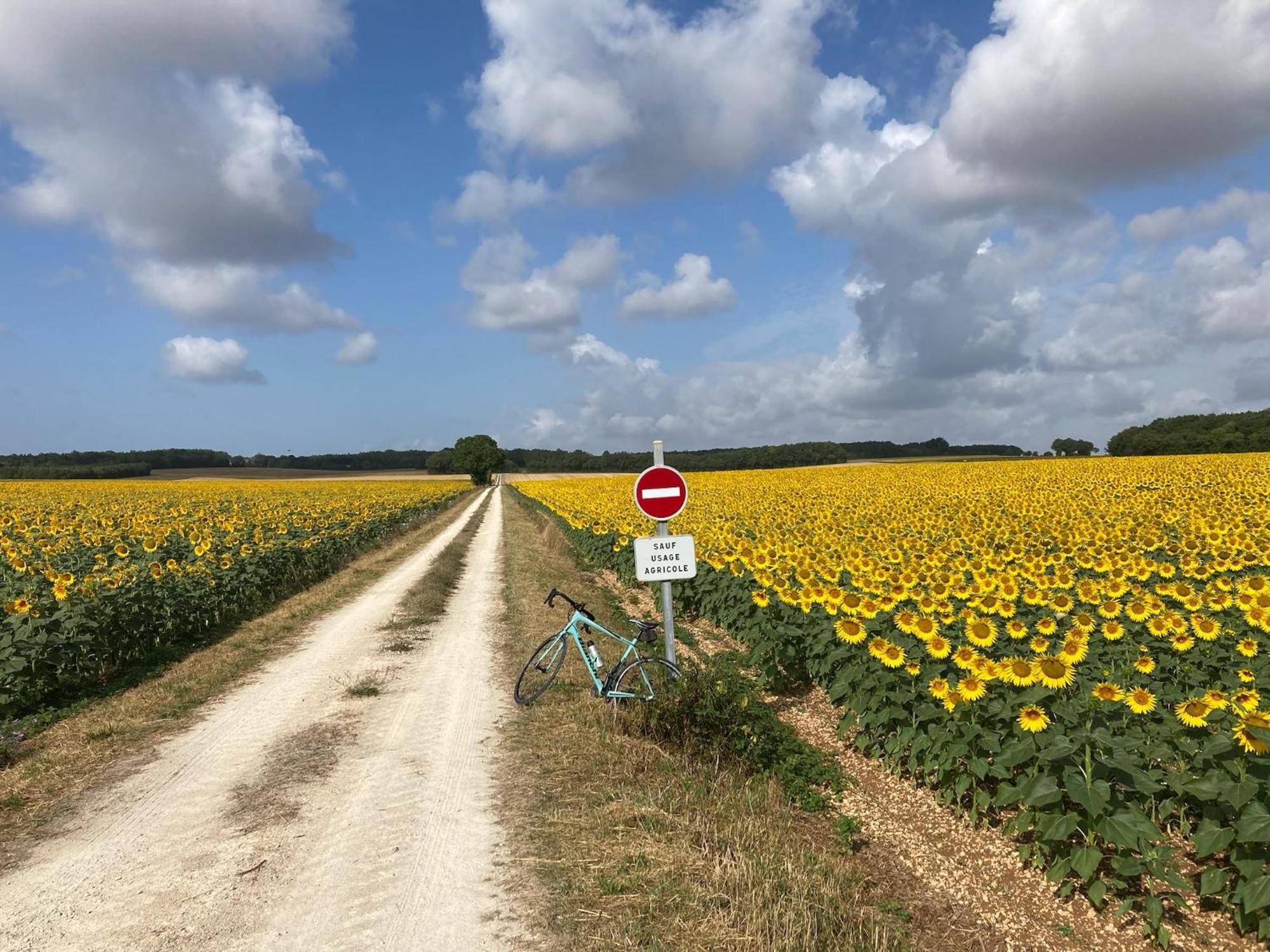 La Ruche Bed and Breakfast Paizay-Naudouin-Embourie Buitenkant foto