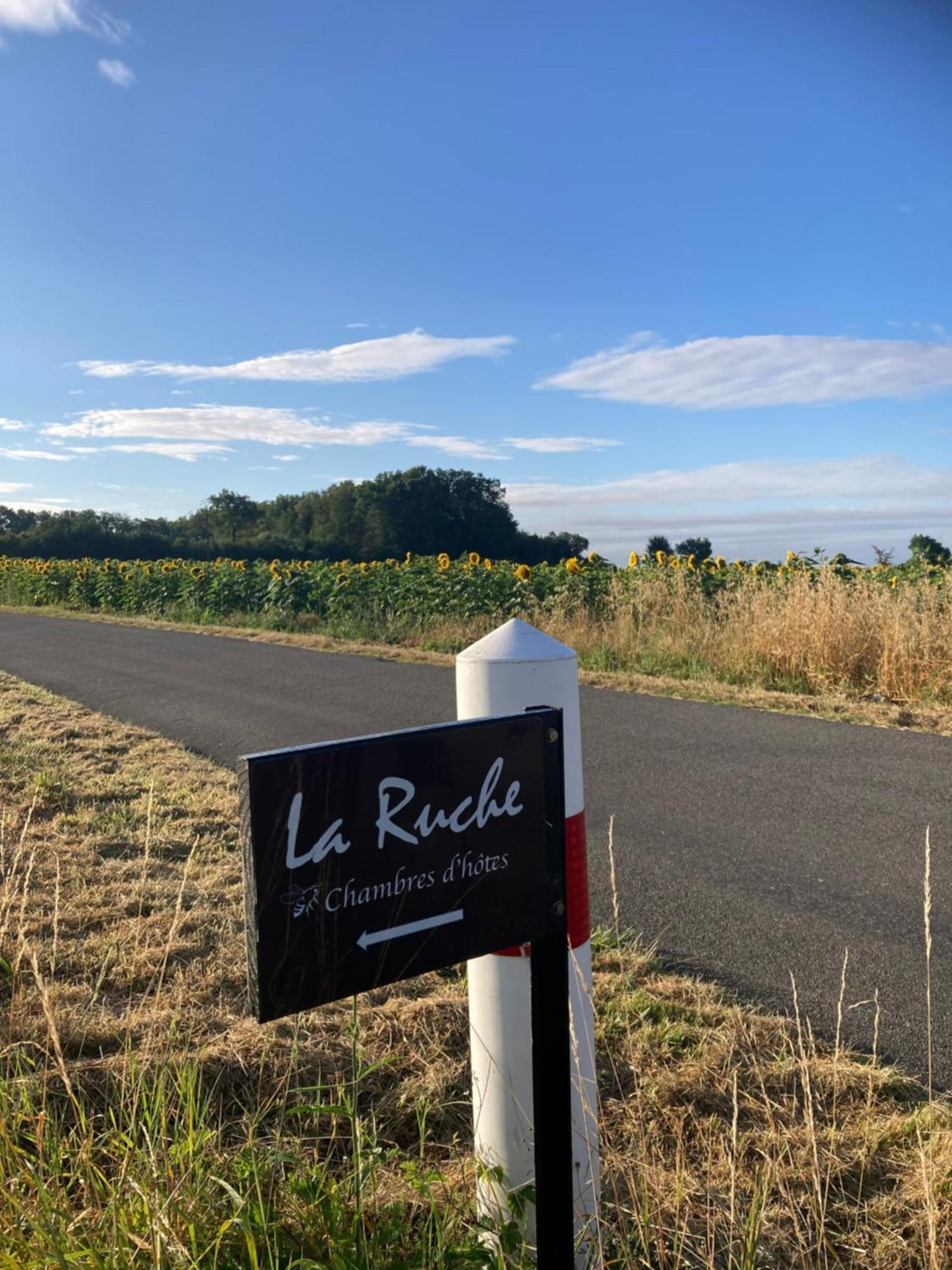 La Ruche Bed and Breakfast Paizay-Naudouin-Embourie Buitenkant foto